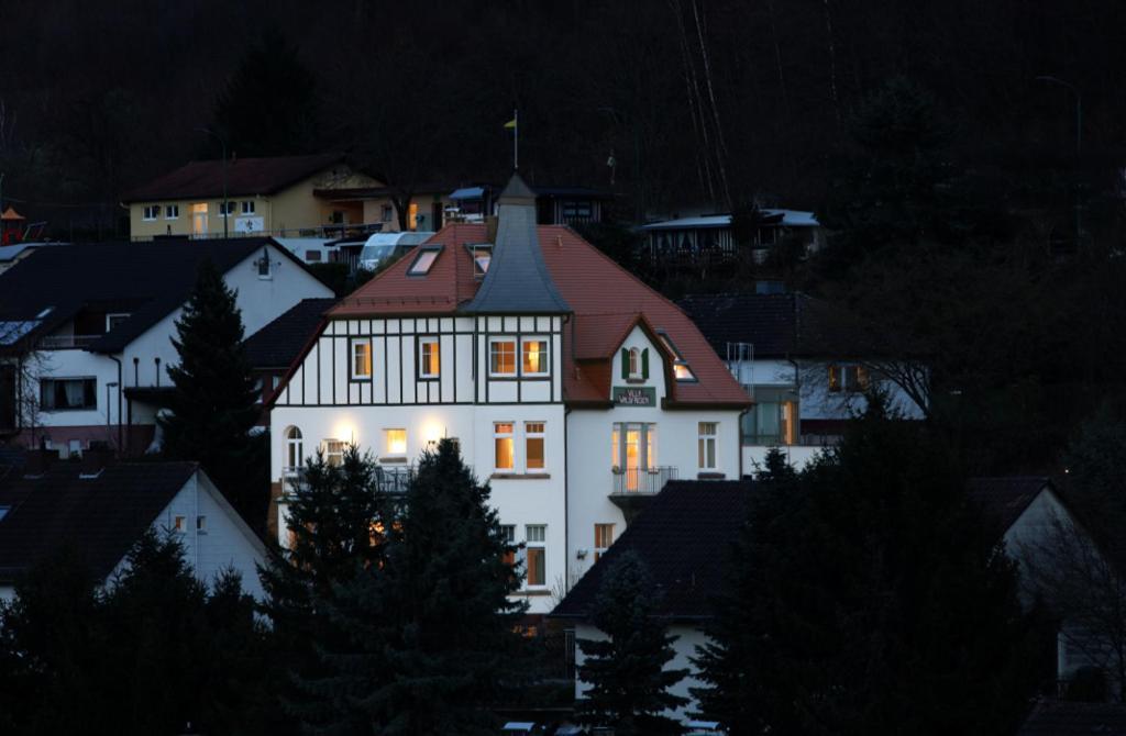 Villa Waldfrieden - Design Trifft Budget Annweiler am Trifels Exteriér fotografie