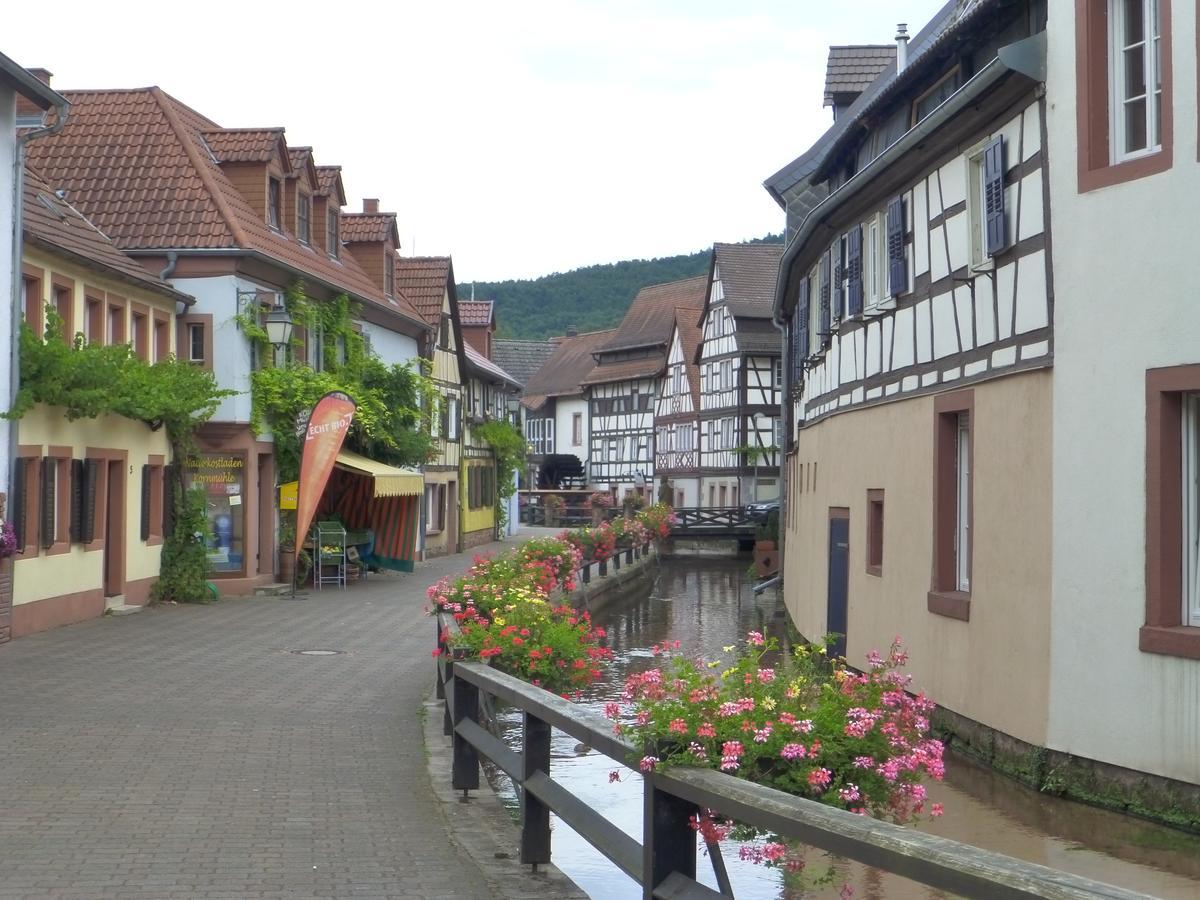 Villa Waldfrieden - Design Trifft Budget Annweiler am Trifels Exteriér fotografie